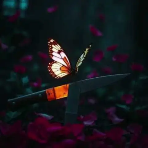 Butterfly Knife